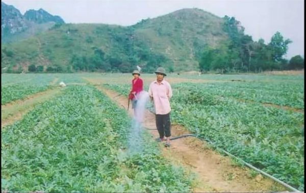 Dự án Lồng ghép phát triển kinh tế và môi trường cho người dân tộc Mường, tỉnh Hoà Bình